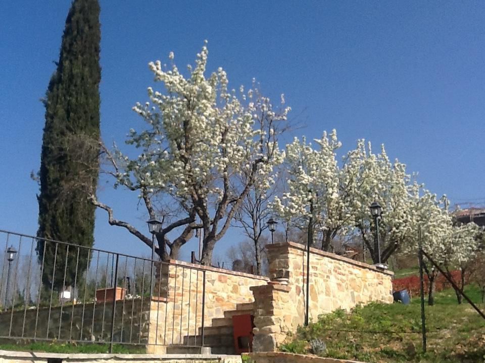 Casatorta Bed & Breakfast Викио Екстериор снимка